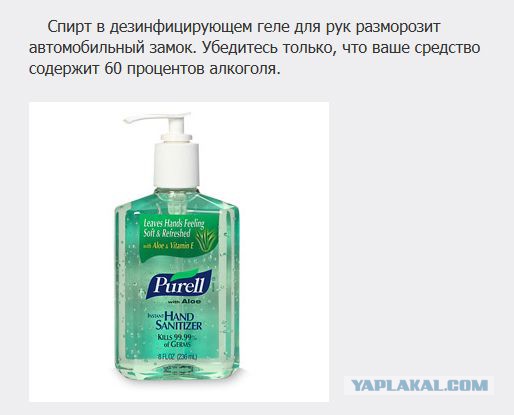 20 фактов обо всем