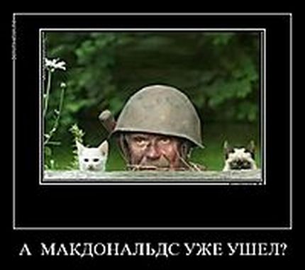 Как рунет встретил идею Михалкова