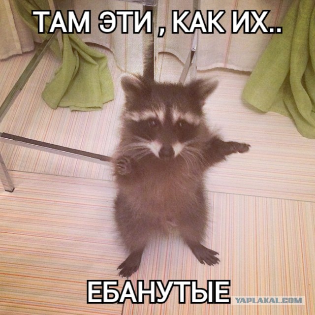Редкий ублюдок ...