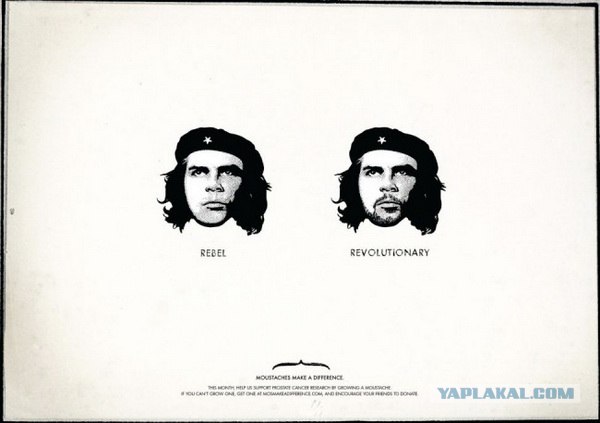 Не растут усы? Да бери так, нахаляву!