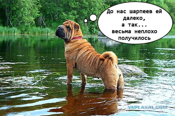 Сила трения, бессердечная ты сука!