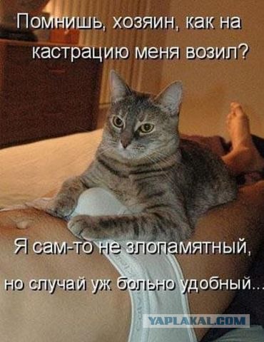 Самое страшное