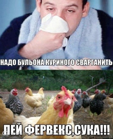 Плюшкиным посвящается