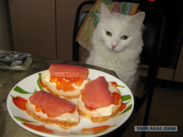 Это мне? Это точно мне?