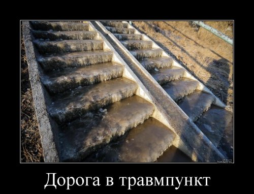 Прикольные картинки и демотиваторы