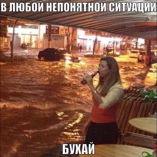Приколы из сети