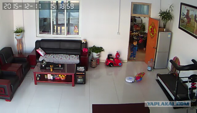 За что я люблю китайцев