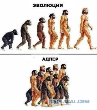 Эволюция