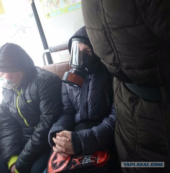 Воскресная подборка картинок