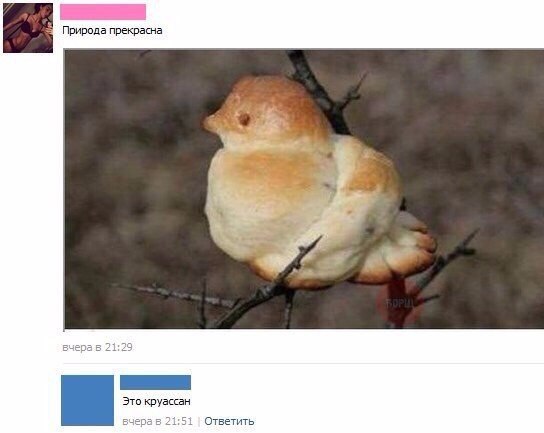 Интересные и веселые картинки