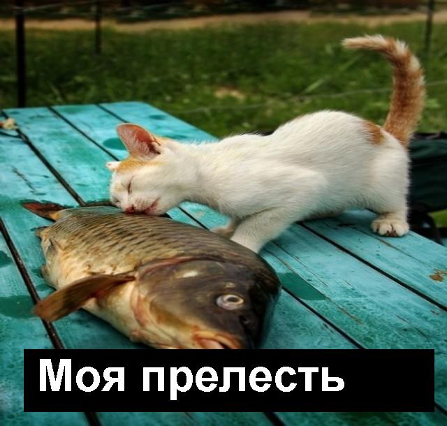 Подборка интересных и веселых картинок