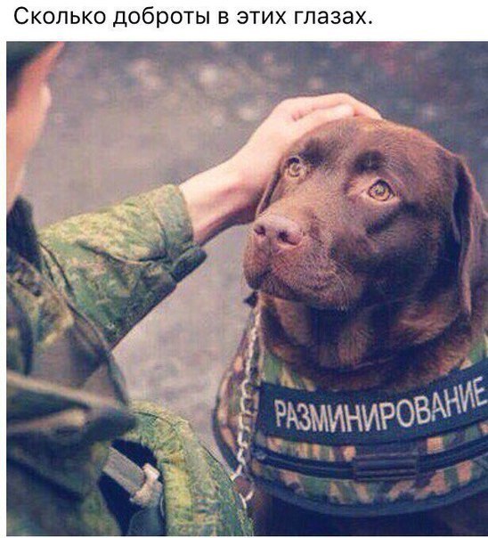 Подборка картинок