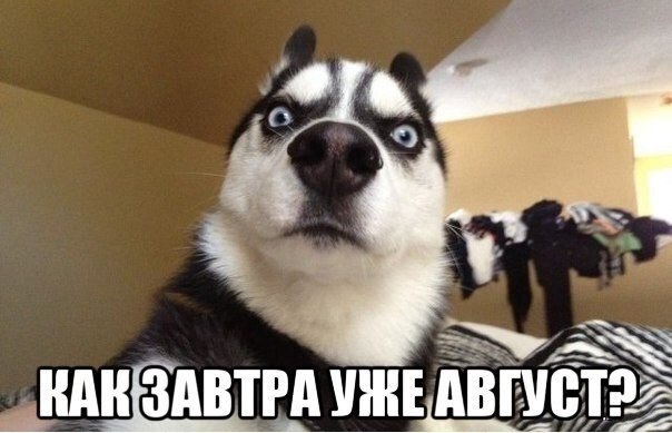 Немного картинок на выходные     20 шт