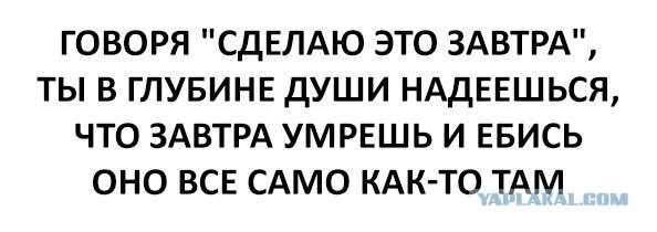 Смешные комментарии 04.09.2016
