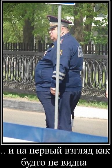 Пиво вызывает разложение внутренних органов