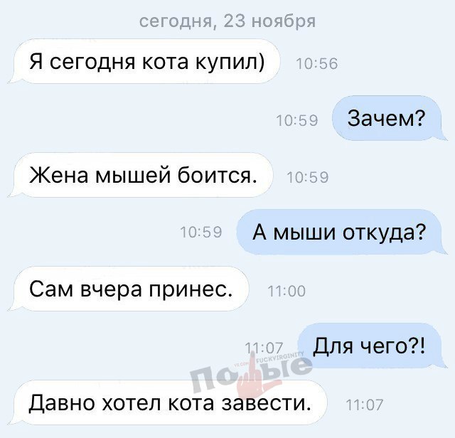 Смешные комментарии и высказывания из социальных сетей.