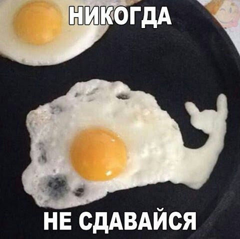 Подборка интересных и веселых картинок