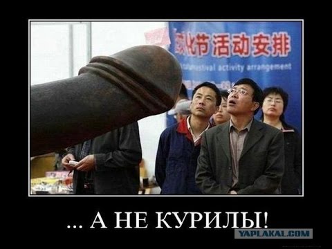 Министр Обороны Японии хочет напрямую поговорить с Шойгу о Курилах
