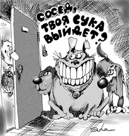Такое время — страшно за собак