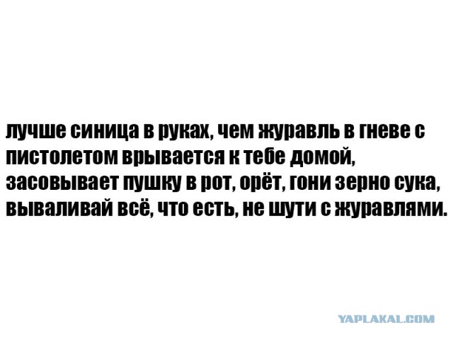 Тупеж и деградация
