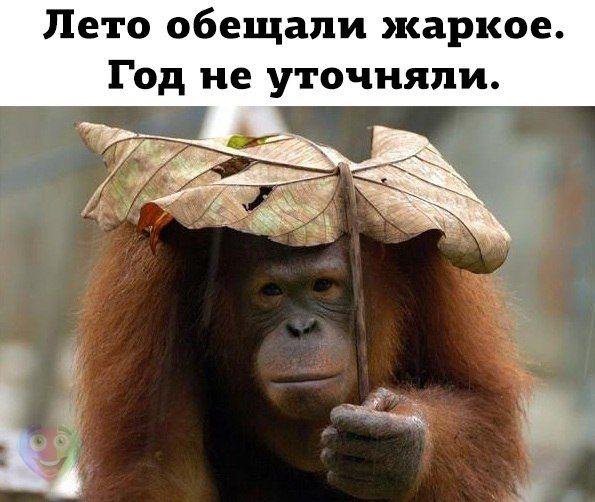 Соцсети - и смех и грех