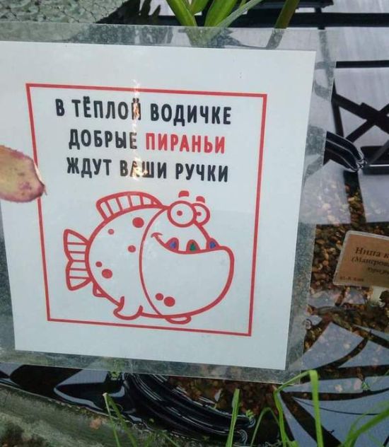 Немного картинок