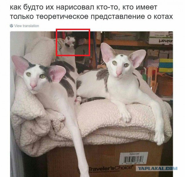 Немного позитива
