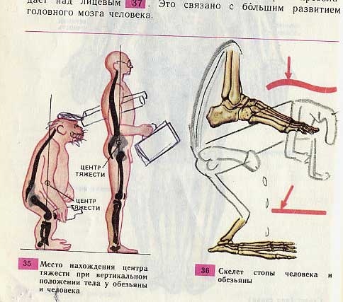 33 примера гениального вандализма в школьных учебниках