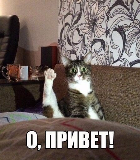 150 картинок для поднятия настроения!