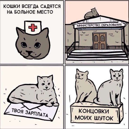 Черного юмора пост