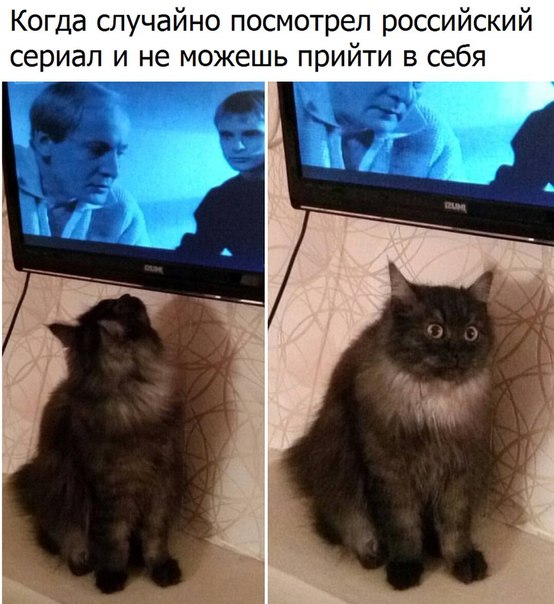 Картинки с надписями на разные темы - 2