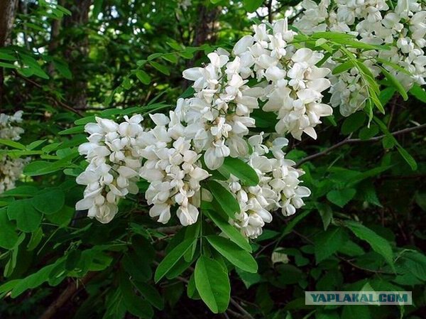 Родом из Советского Союза: 23 деликатеса, за которые можно было даже коллекцию календариков отдать!