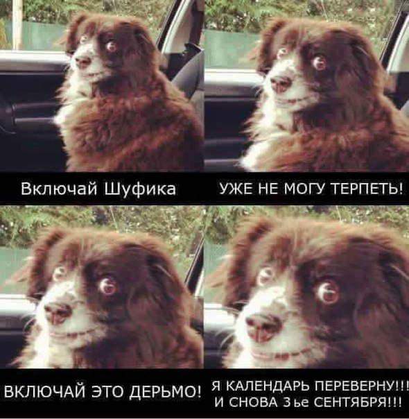 Картинки с надписями для настроения