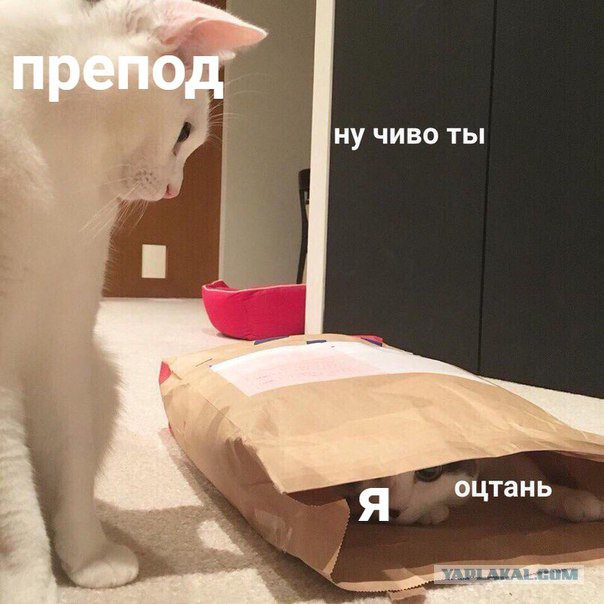 Смешные комментарии из социальных сетей 20.04.2018