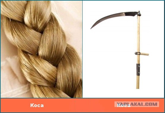 27 обычных на первый взгляд вещей, которые оказались неожиданно большими