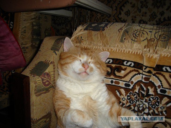 КОТовторник 13.04.2010г.