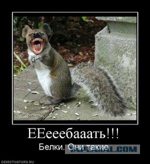 Ну вот когда же уже эта неделя закончится?!