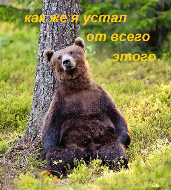 Почему женщины гнобят своих мужчин?