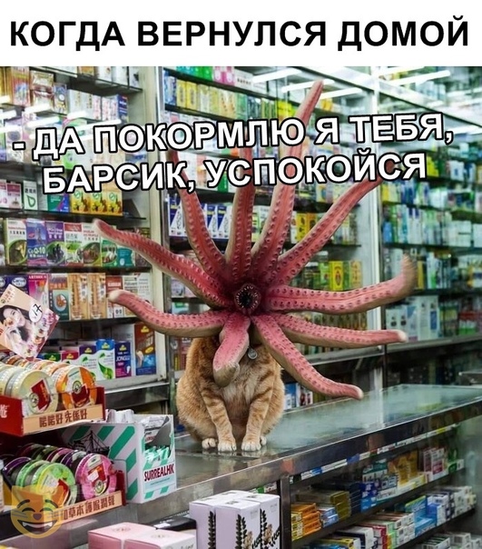 Прикольные комментарии и высказывания из Сети