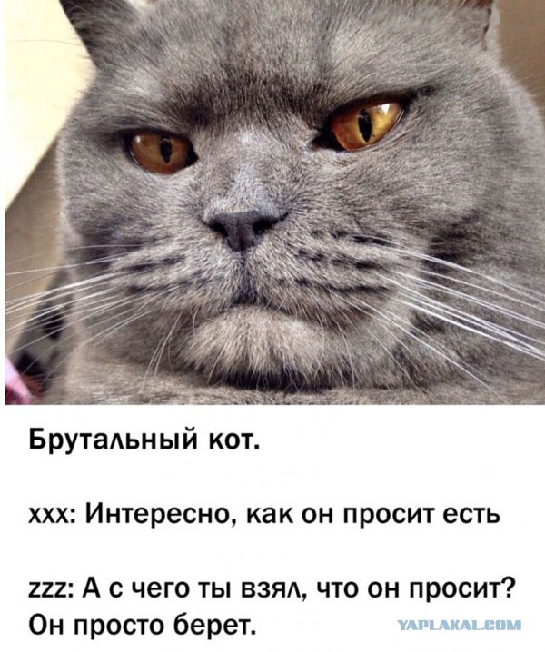Номер восемь