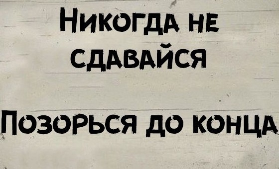 Камышева Алена Юрьевна. Стало обидно.