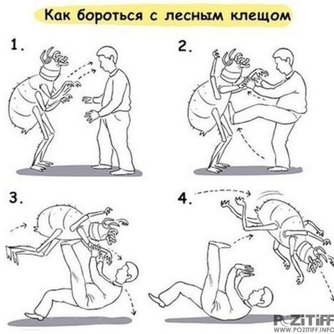 Если на вас напал медведь