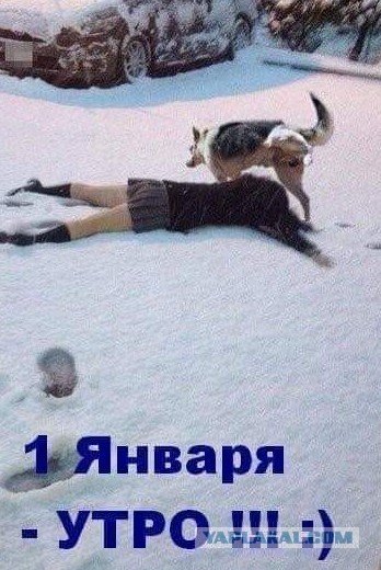 Ежегодная тема, что вам подарили на НГ