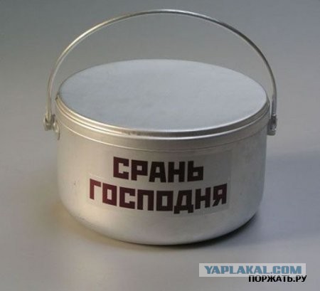 Бредзона 06.02.2020