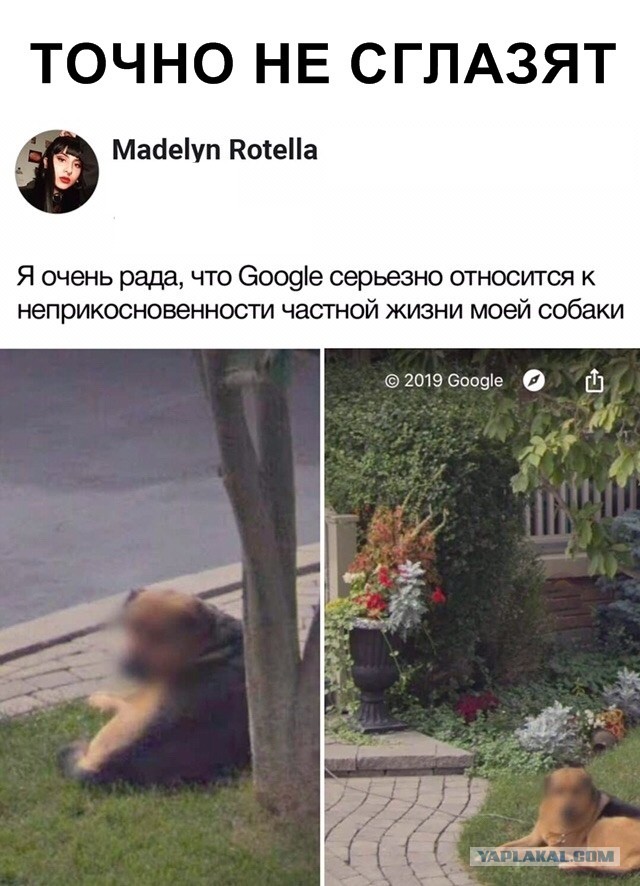Бредзона 20.05.2020