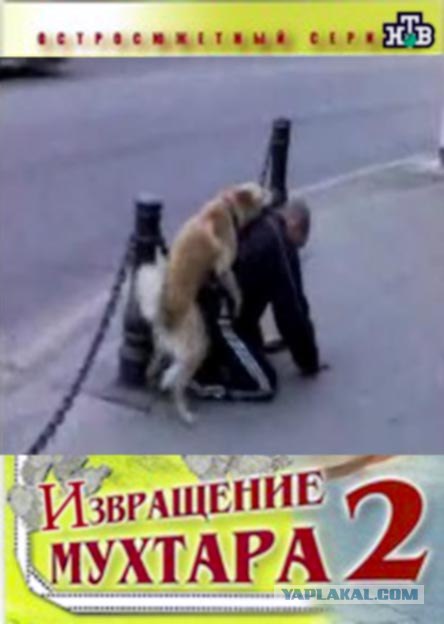 Фотожаба: ТВ программа