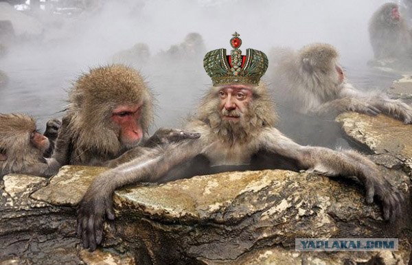 Фотожаба: Никита Михалков