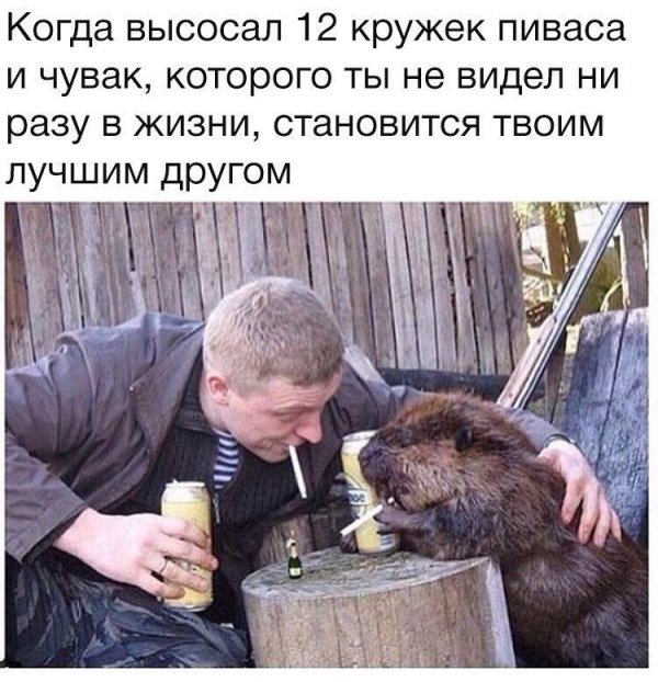 Прикольные и просто красивые картинки 01.09.2020
