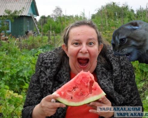 Фотожаба: Принцесса ФИОНА