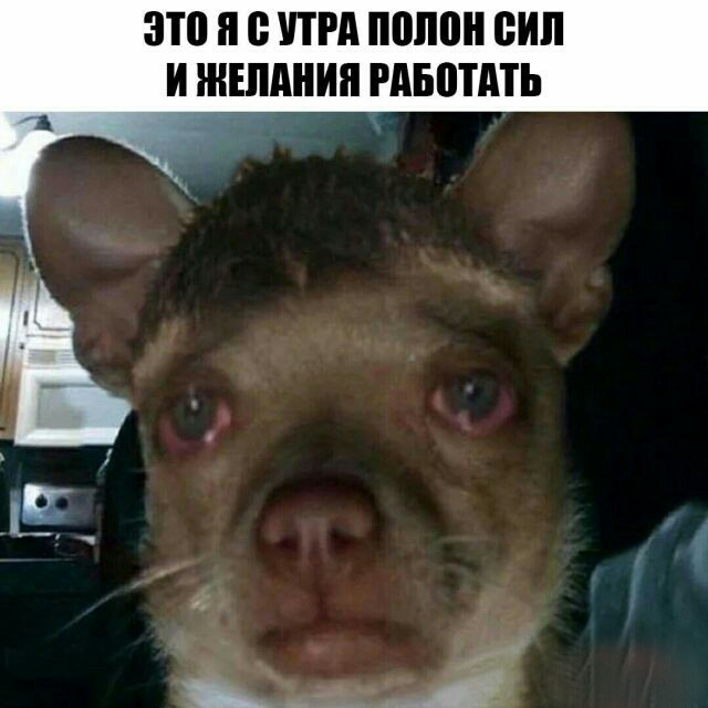Картинки разные для поднятия настроения